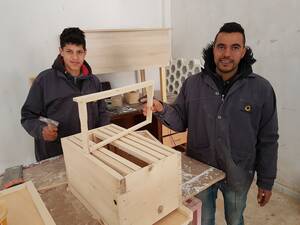 Making Beehives