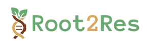 Root2Res Root2Res logo