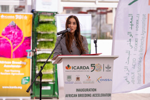 icarda-231.jpg