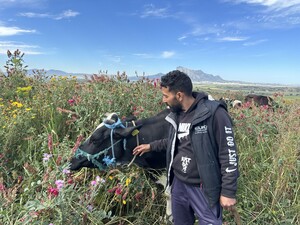 img_7909.jpg