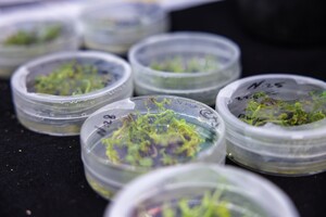 Climate Smart crops 