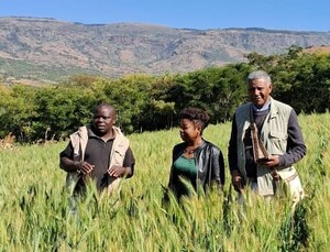 dr_zewdie_bishaw_in_the_field.jpg