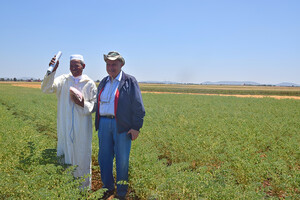 dr._mahmoud_el_solh_with_a_moroccan_farmer_in_an_icarda_chickpea_variety_field_in_merchouch_6_may_2015.jpg