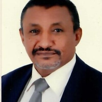 Hassan Osman Ahmed El-Awad