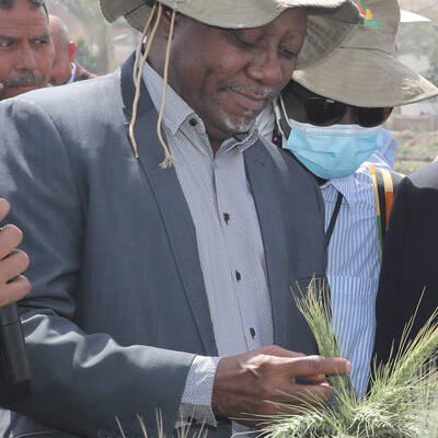 AFRica Rice DG