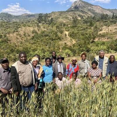 Climate Smart Wheat Climate Smart Wheat