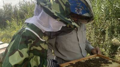 Olga &amp; Sergey inspecting a hive
