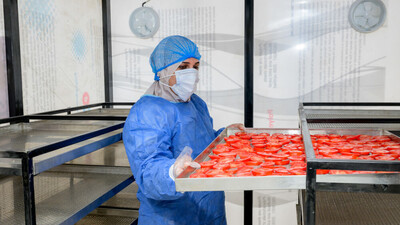 Minya, Egypt | Photo: Ahmed ElSheemy/ICARDA