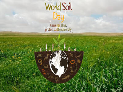 World Soil Day 2020