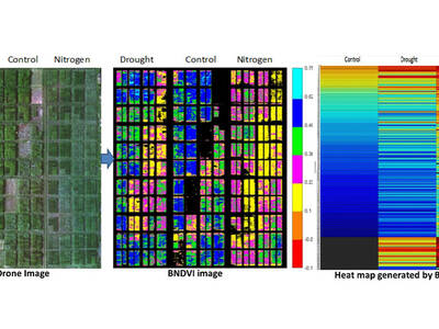 Remote sensing plays a crucial role in providing weather parameters for future accurate predictions and decisions.