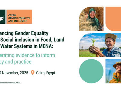 Advancing Gender Equality and Social Inclusion in Food, Land, and Water Systems in MENA: Generating Evidence to Inform Policy and Development Practice