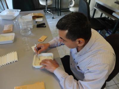 A scientist at work at the Tel Hadya Genebank, in Aleppo, Syria.