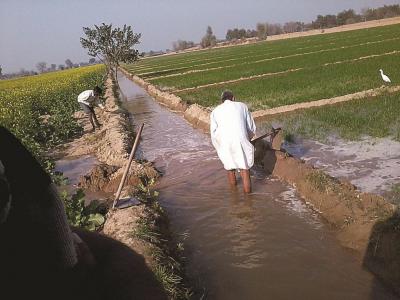 Flood irrigation in Egypt