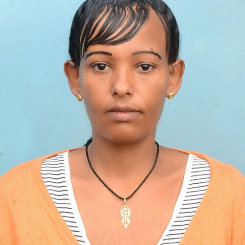 Meseret Tsige Abebe Meseret Tsige Abebe