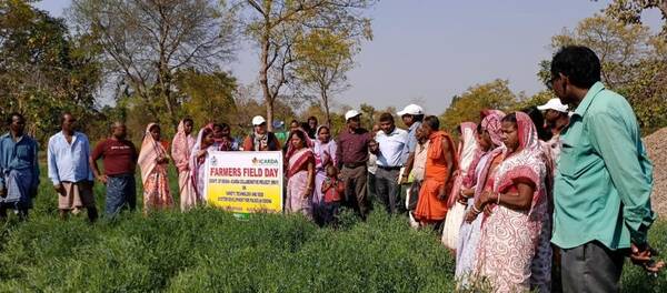 Farmers Field Day