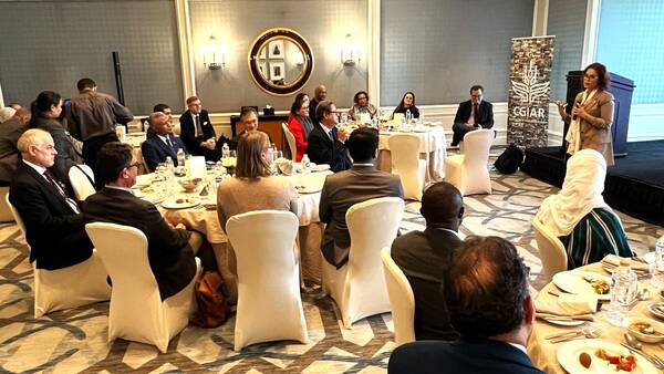 Ambassadors to Egypt and Heads of Donor and Partner organizations Ambassadors to Egypt and Heads of Donor and Partner organizations