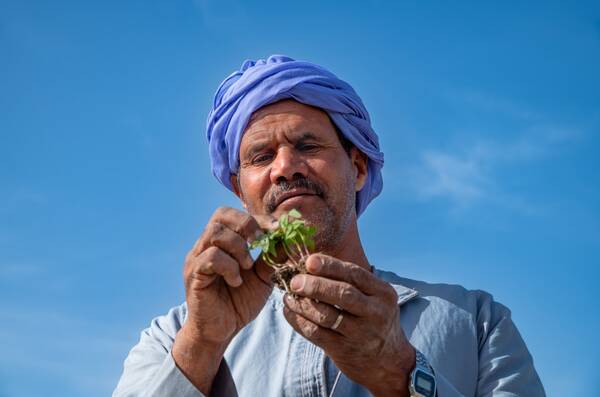 farmer holding a crop farmer holding a crop