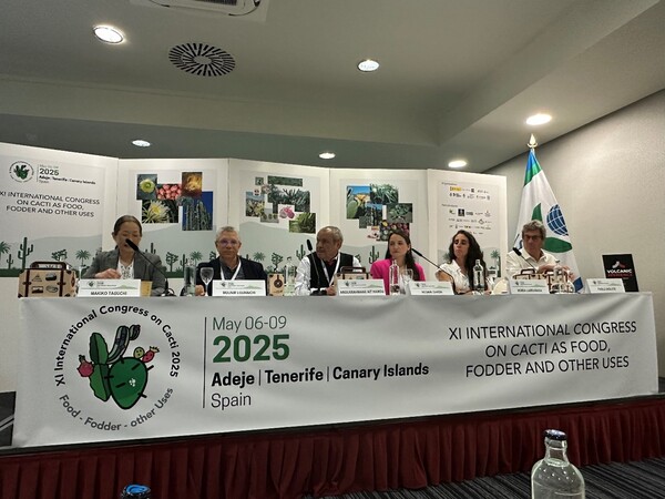 Panel discussion 
