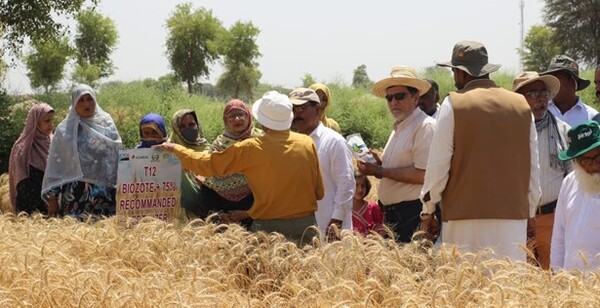 Field Visit Pakistan