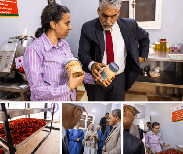 post-harvest processing units in Alashraf village