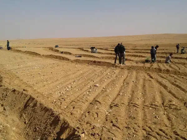 Recovering The Degraded Soils Of The Badia In Jordan
