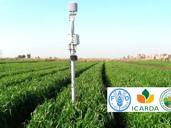 FAO Webinars