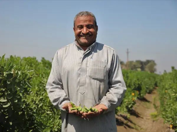 Egyptian Farmer