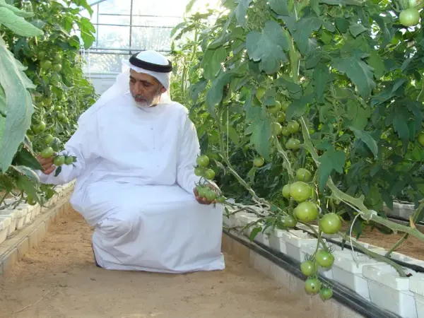 UAE