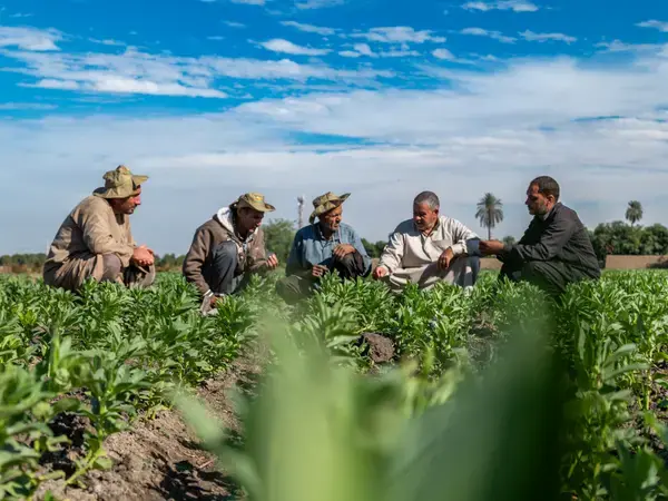 ICARDA in Unable to load the picture Central and West Asia and North Africa (CWANA) and the Middle East 