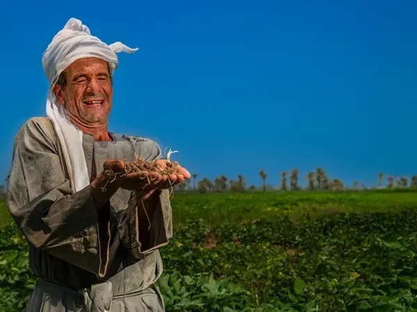 World Soil Day 2024