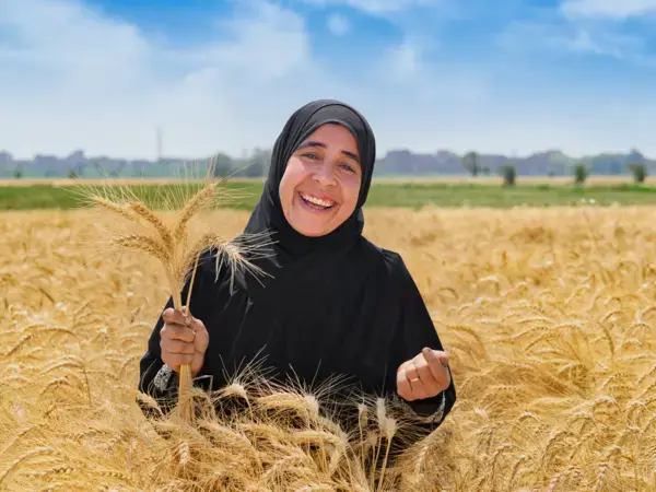 Egyptian farmer in a wheat field - Photo: Ahmed ElSheemy/ICARDA