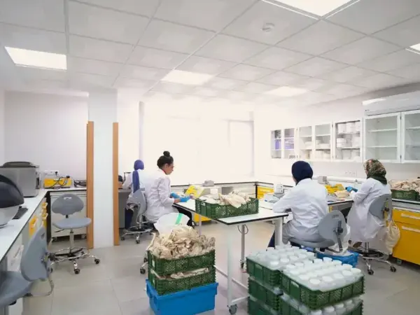 Women Scientists at the Heart of Genetic Diversity Conservation 