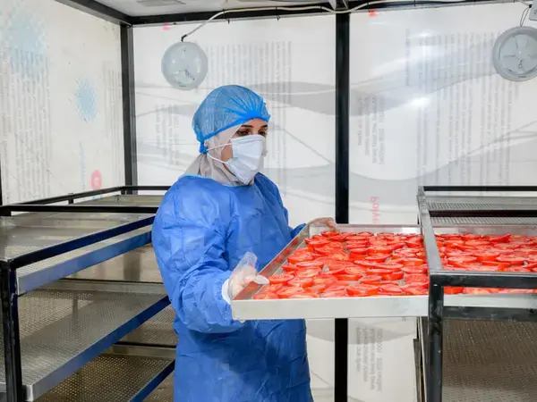 Minya, Egypt | Photo: Ahmed ElSheemy/ICARDA