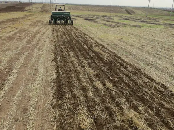 Conservation agriculture is a proven means of stabilizing crop production in water-scarce regions
