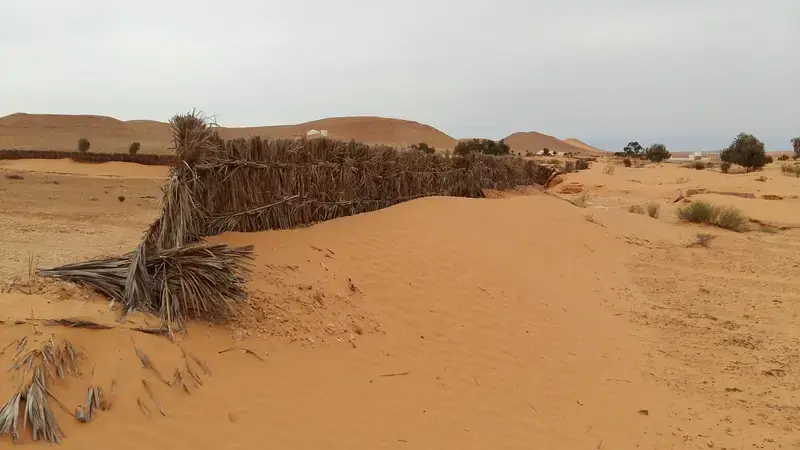 Land degradation in Tunisia Shifting gender roles across Tunisia rangelands