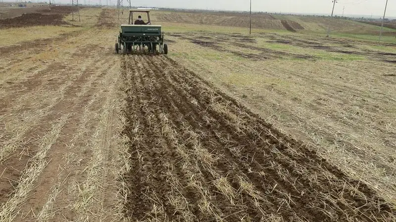 Zero-till seeders have helped expand the application of conservation agriculture across Iraq. Zero-till seeders have helped expand the application of conservation agriculture across Iraq.