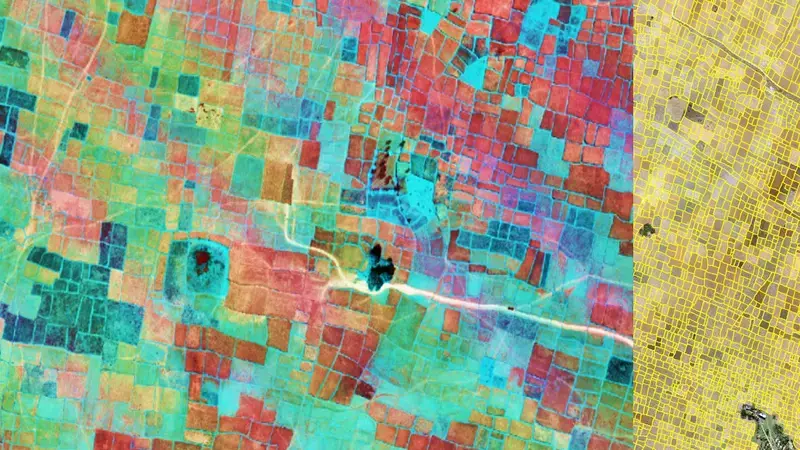 Big Data and ICT An ICARDA geoinformatics-based decision support tool targets sustainable pulse intensification in rice fallows.
