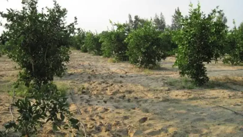 Irrigation activities in Egypt Irrigation activities in Egypt