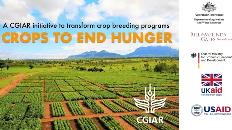 Crops to end hunger Crops to end hunger