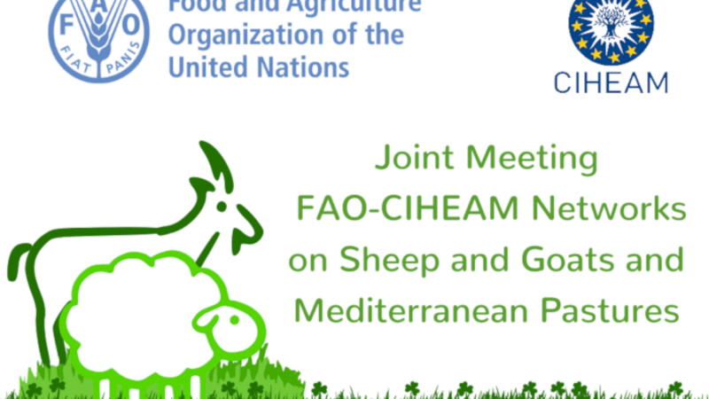 Joint Meeting of the FAO-CIHEAM Network for Research and Development in Sheep and Goats