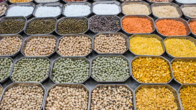 Pulses Pulses