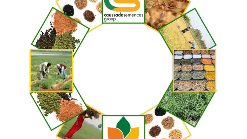 Collaboration between ICARDA and Caussade Semences Group (France) Collaboration between ICARDA and Caussade Semences Group (France)