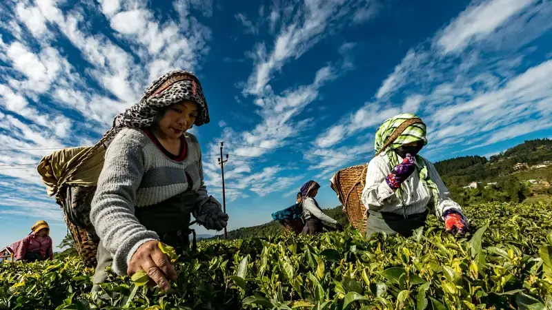 Land Governance Lost in Translation: Exploring Semantic Technologies to Increase Discoverability of New Technologies & Data Land Rights