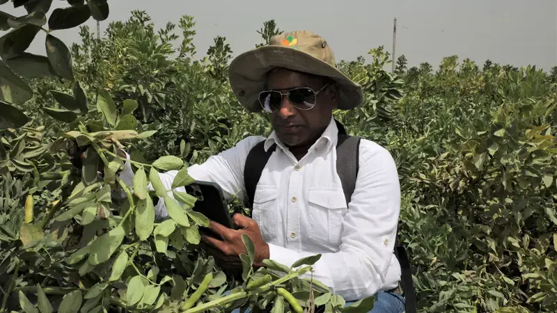 Dr. Chandrashekhar Biradar in the field Dr. Chandrashekhar Biradar in the field