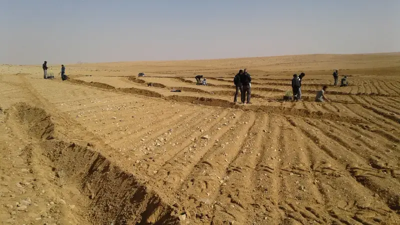 Recovering The Degraded Soils Of The Badia In Jordan Recovering The Degraded Soils Of The Badia In Jordan
