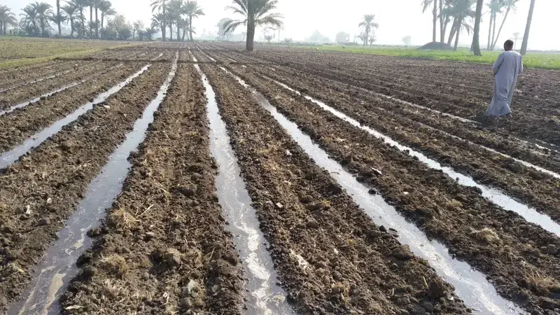 Enhancing Water and Land Productivity Enhancing Water and Land Productivity