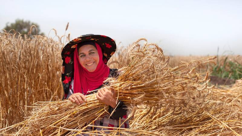 Climate Smart Crops