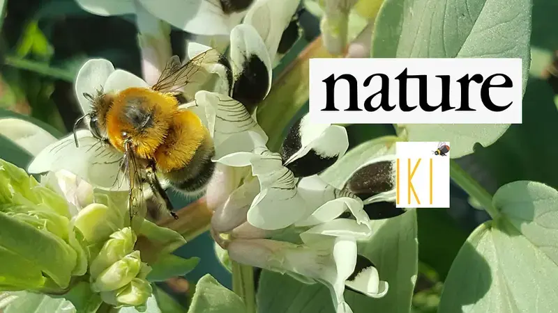 Farming with Alternative Pollinators Farming with Alternative Pollinators