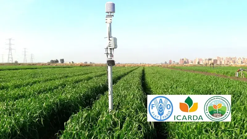 FAO Webinars