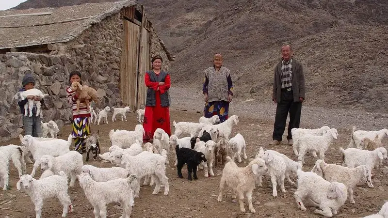 Central Asia and the Caucasus